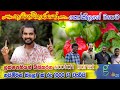 Nadagamkarayo මාලන්ගේ scotch bonnet  nayimiris  නයි මිරිස් වගාව - 0776395088 Dilco plantation