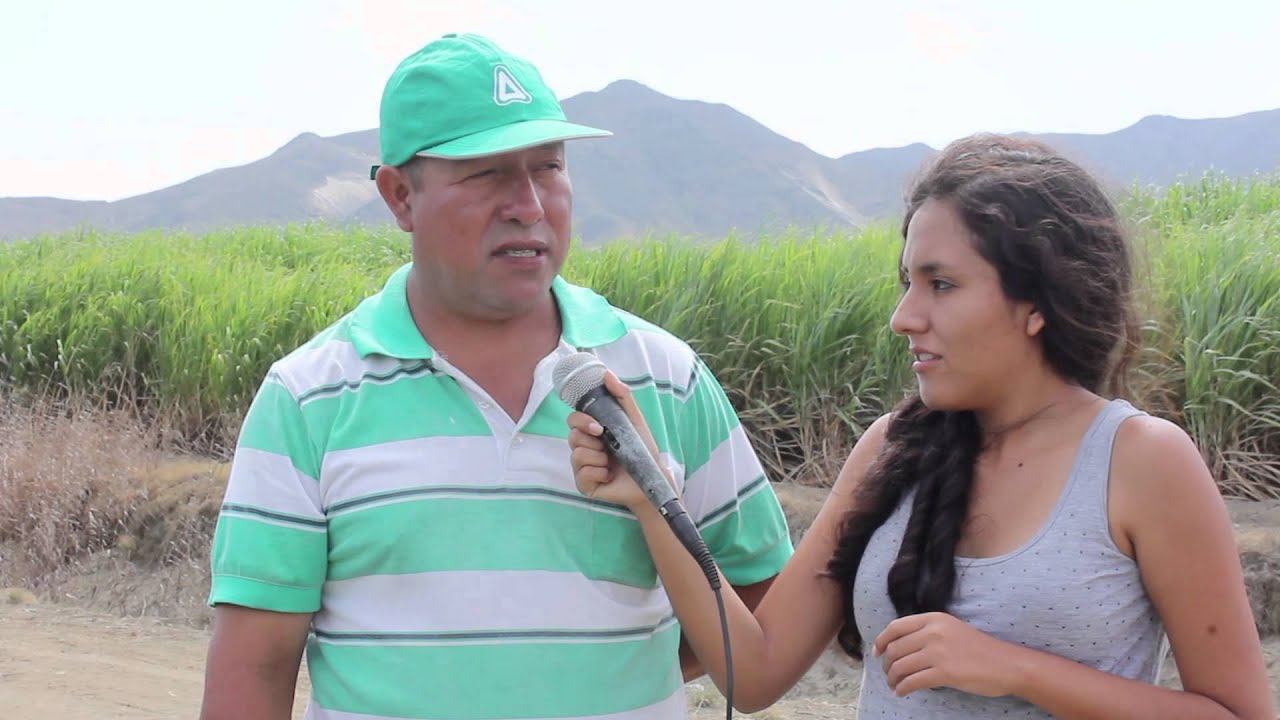 Huambacho - producción de esparragos