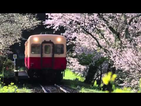 Yumi Matsutoya - Haru yo koi