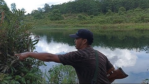 Berburu belibis rawa spot tengah tambang kalimantan