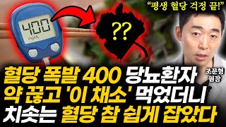 약도 안 들어 혈당 400 폭주하는 당뇨환자 살린 '이 채소' 제발 먹어보세요. 순식간에 혈당 80으로 떨어지고 췌장이 기뻐합니다 (생명과학자 한의사 조문형 2부)
