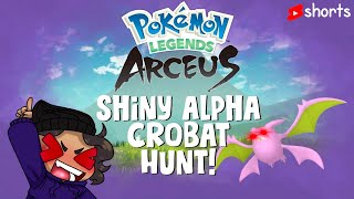 Shiny Alpha Crobat hunt! - Chill Pokemon Legends Arceus Shiny Alpha Hunting #shorts