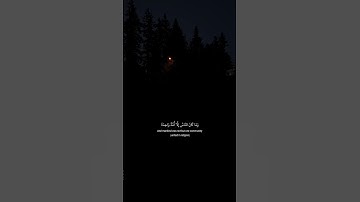 وَمَا كَانَ النَّاسُ إِلَّا أُمَّةً وَاحِدَةً فَاخْتَلَفُوا ۚ | القارئ عبدالرحمن مسعد