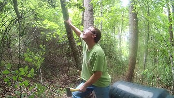 Wooden Log Bridge Build