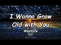 I Wanna Grow Old With You - WestLife (Lyrics) | Kendall Jenner, Eminem, Nick Jonas (Mix Lyrics)