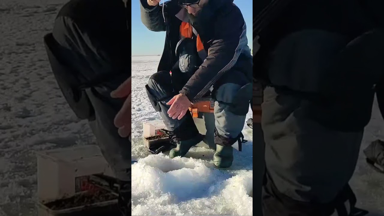 Если перестало клевать ,попробуйте поиграть . 