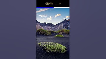 سورة الحج - الشيخ محمد محمود الطبلاوى