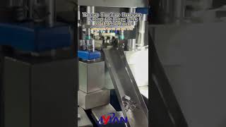 Yanman Hinge Neck high precision stamping mold,fair price,no thicks#yanman#punchingmold#hingeneck