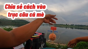 Chia sẻ cách vào một đường trục câu cá mè cho cần máy