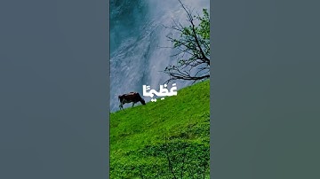 قرآن كريم بصوت الشيخ علي عبدالله جابر رحمه الله #اكسبلور #علي_جابر #راحة_نفسية #funny #قرآن #comedy