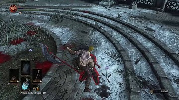 Dark Souls 3: Goku Can Parry?