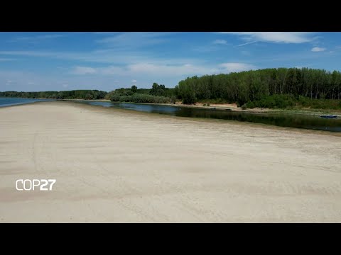 დუნაისპირეთს გვალვამ დიდი ზარალი მიაყენა