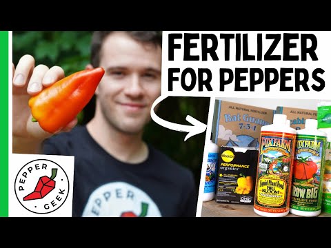 Video: Fertilizer For Pepper