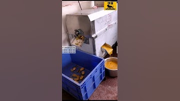 Mango juicer machine | Mango pulp making machine/ आम रस मशीन commercial Mango juicer / Mango machine