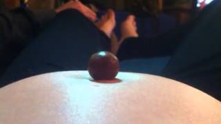 Baby Bump Kicking Malteser