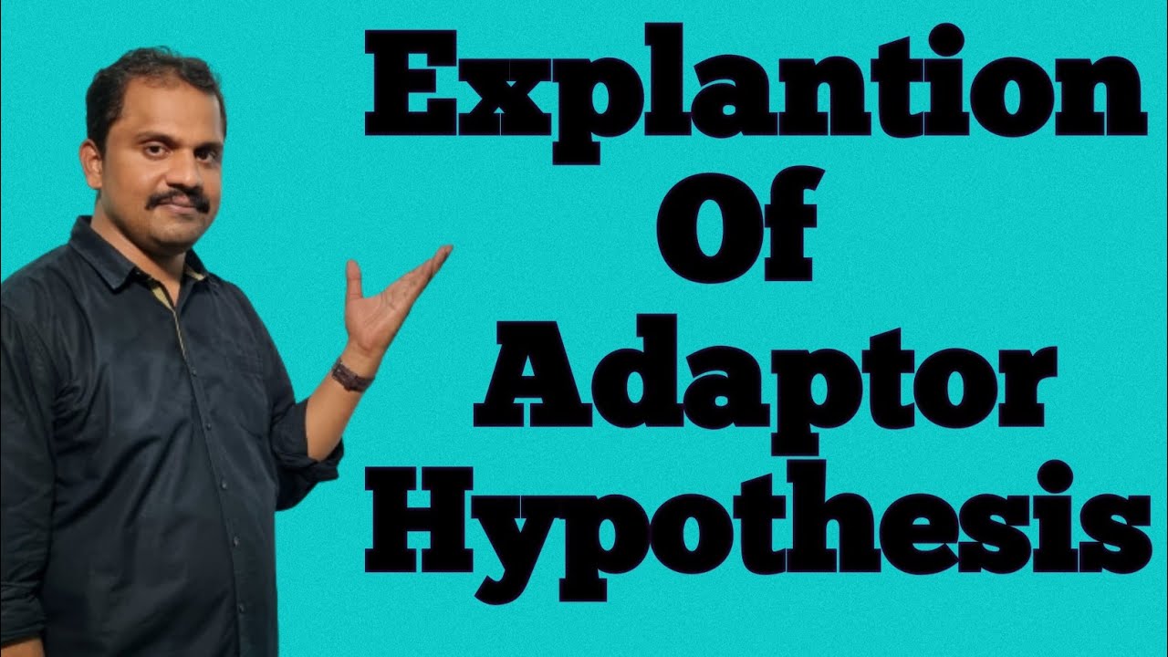 Explantion Of Adaptor Hypothesis. YouTube