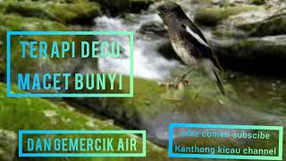 TERAPI BURUNG DECU DAN GEMERCIK AIR UNTUK PANCINGAN DECU YANG MALAS BUNYI