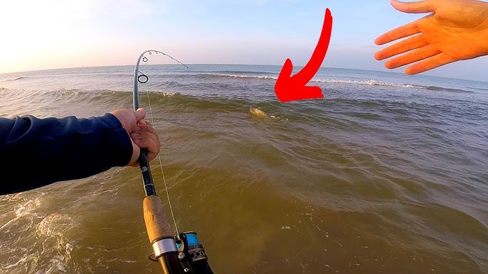 This LURE Gets DESTROYED Beach Fishing (Never Done This) 