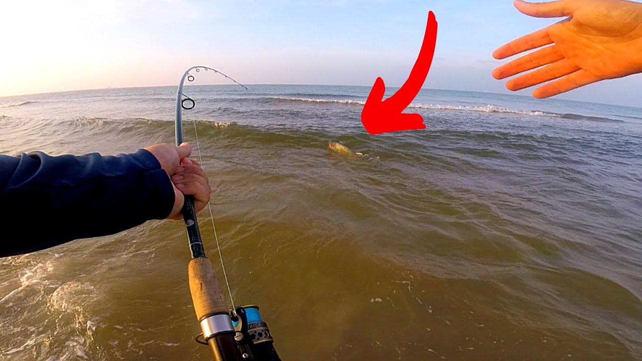 Another BEAST on The Topwater Popper Surf Fishing!