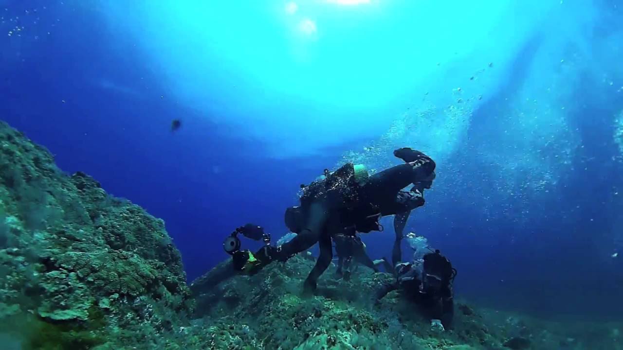 トカラ列島「雄神瀬」激流ダイビング - YouTube