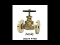 Sant Globe Valve