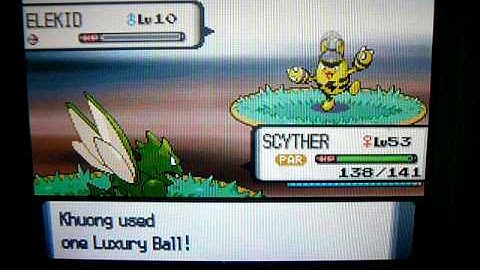 Shiny Elekid at a chain of 32 on route 207