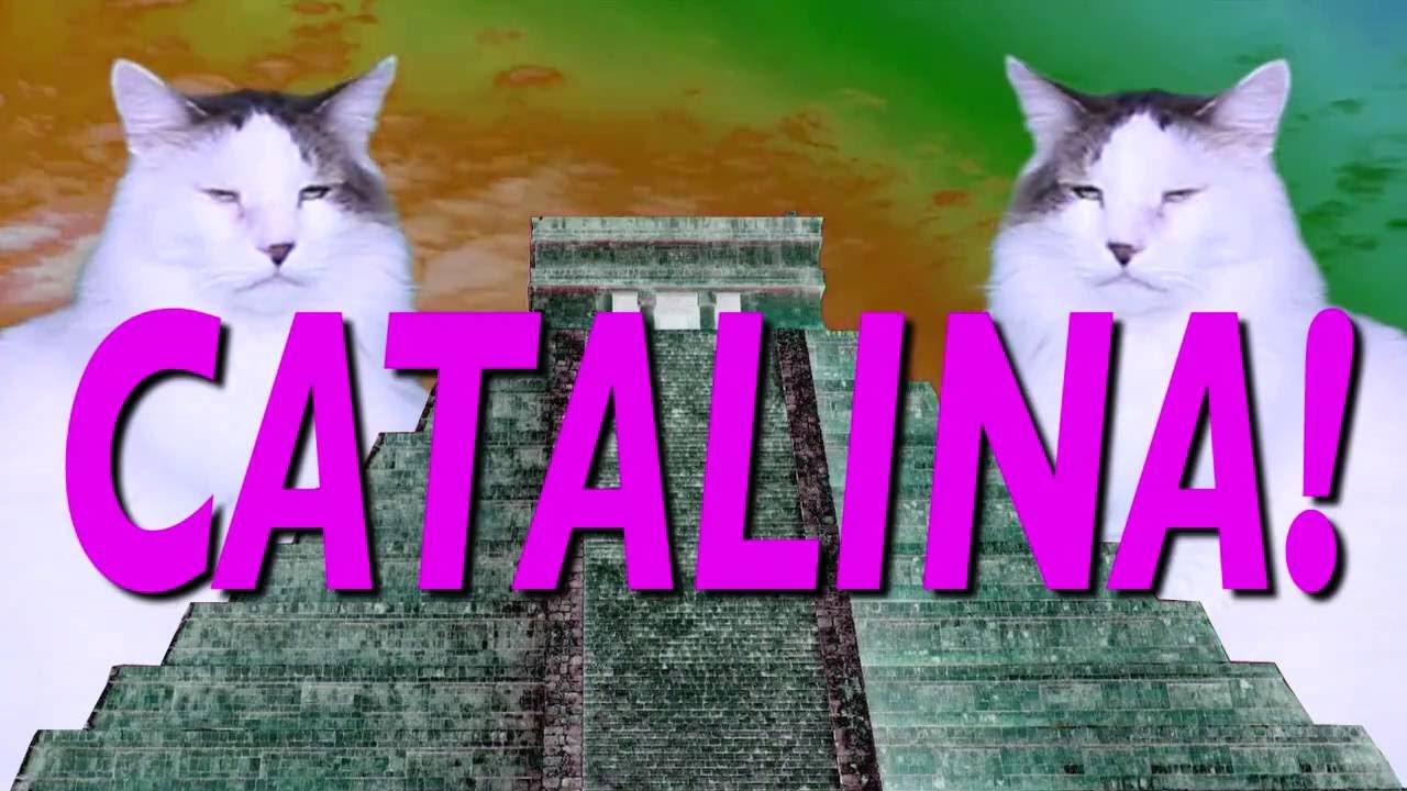 ¡FELIZ CUMPLEAÑOS CATALINA! Canción Comica de Cumpleaños camera iphone 8 plus apk
