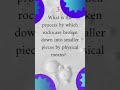 science question answer science riddles logical questions #top10info#generalknowledge  #quiz #riddle