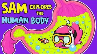 ¡Sammy Viaja Dentro del Cuerpo Humano! 🧠🫀 Ciencia Divertida para Niños