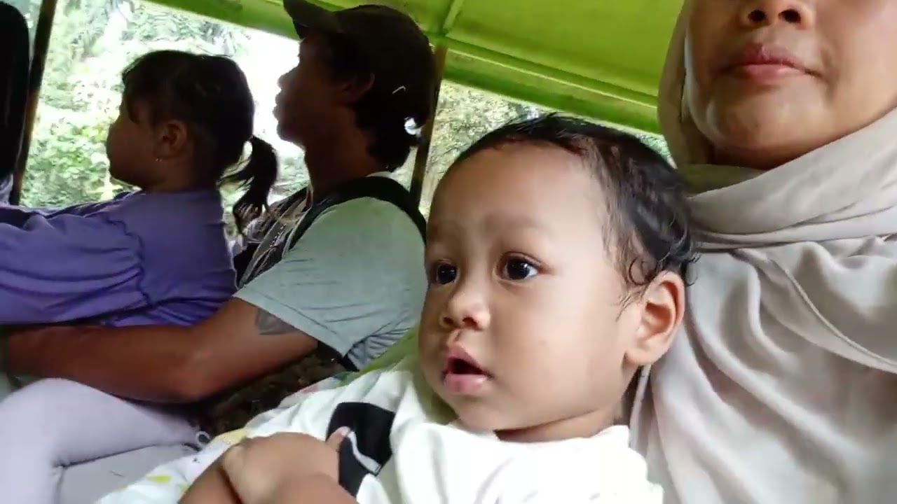 NAIK KERETA KELILING  HARIMAU DI RAGUNAN