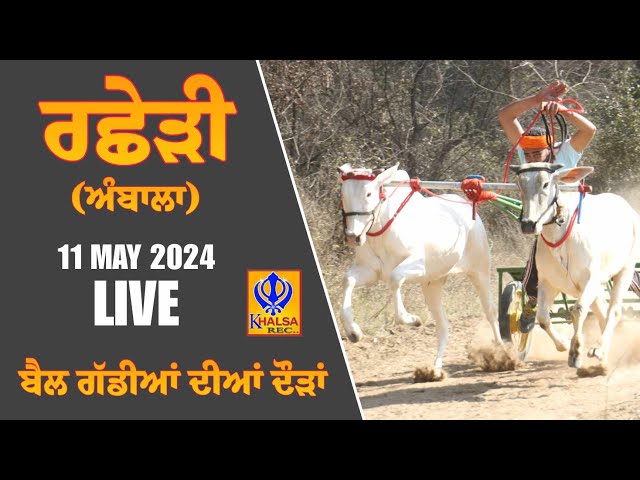 🔴[Live] Rachheri | Ambala | ਬੈਲ ਗੱਡੀਆਂ ਦੀਆਂ ਦੌੜਾਂ | बैलगाड़ी दौड़ | Ox Races | 11 May 2024 class=