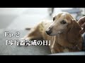 Ep.2「歩行器完成の日」