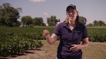 The Benefits of Enlist™ Herbicides