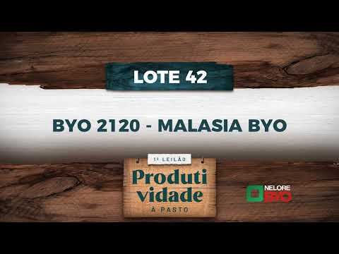 LOTE 42   BYO 2120