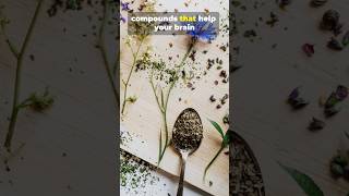 These Plants Beat Synthetic Nootropics Every Time #adaptogens #brainboost #natural