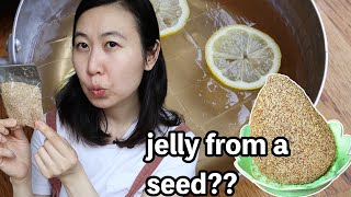 MAKE JELLY FROM A SEED?! TAIWAN "AIYU" JELLY SEED | NEW INGREDIENT