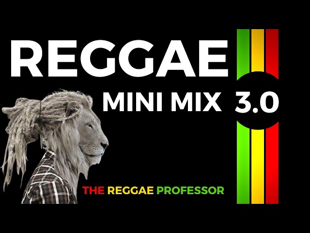 Reggae Mini Mix 3.0 class=