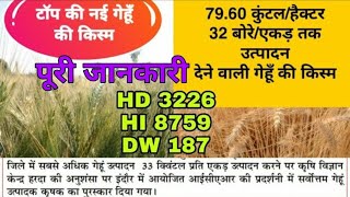 New wheat variety|gehu।गेहूं की नई किस्म उपज 79.60 कु.| गेहूँ की खेती |HI8759।HD 3226|DBW187