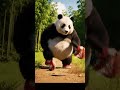 Panda Sprint Fail | Shoes Fly Off During Run | Hilarious Animal Comedy 2026 | Nebula Shots