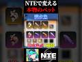 NTEで本物のペットを買う方法を”ホンモノ”の人間が1分で解説!【Neverness to Everness】