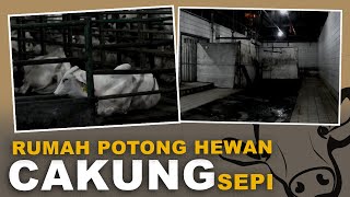 Rumah Potong Hewan Cakung Sepi