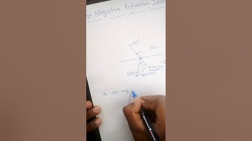 The negative refractive index