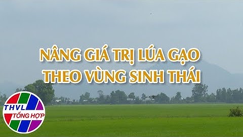 Nông nghiệp bền vững: Nâng giá trị lúa gạo theo vùng sinh thái