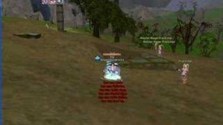 Flyff RM BUFFS LVL 60
