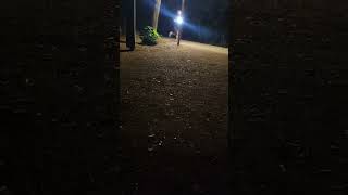 adamo 🙏😎😅🤣🤣