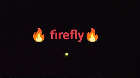 Firefly #shorts #facts #firefly #insects #facts and more #nature