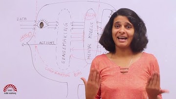 Managing our Inner World Part 11 of 14   Crafting Our Inner World