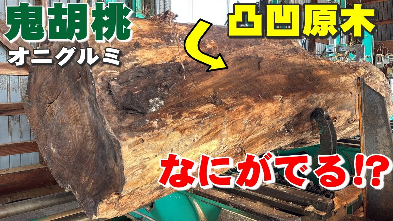 【凸凹原木の製材】岩手県産のオニグルミを一枚板に製材したらすごい木目があらわれた！