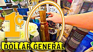 1¢ 🛍 Pennies 🛒 shopping 🍀 Dollar General  #pennyitems #dg #pennyshopping #pennies #pennylist