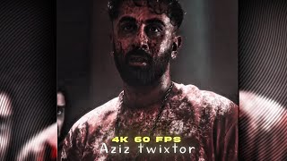 Aziz Twixtor 4K 60 Fps Animal Movie Scencepack L